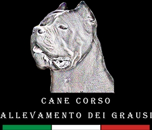 Fernando Casolino: L’impiego del cane corso